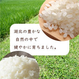 令和8年　滋賀県湖北産　立見さんのミルキークイーン 10kg 【減農薬米】【白米・玄米】
