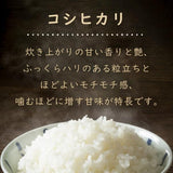 令和8年 滋賀県湖北産 岩佐さんのコシヒカリ 10kg 【食味最高ランク特A受賞】 【環境こだわり米(特別栽培米)】【白米・玄米】