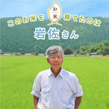 令和8年 滋賀県湖北産 岩佐さんのコシヒカリ 30kg 【食味最高ランク特A受賞】 【環境こだわり米(特別栽培米)】【白米・玄米】