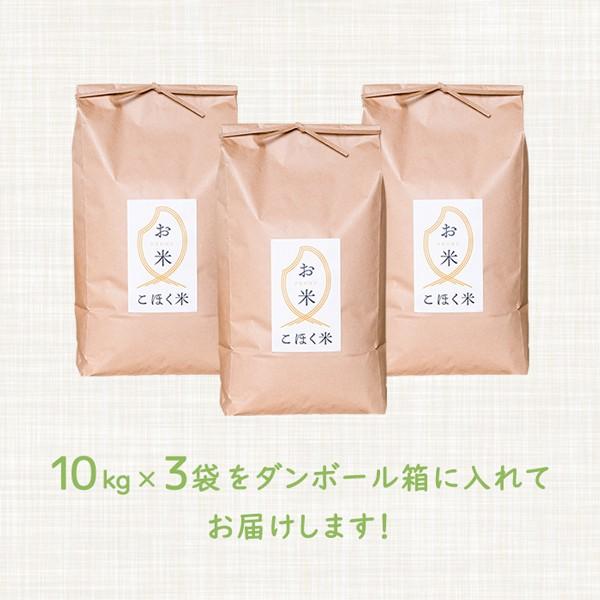 令和５年 滋賀県湖北産 湖北のコシヒカリ 30kg 【食味最高ランク特A