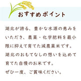 令和8年　滋賀県湖北産　立見さんのミルキークイーン 20kg 【減農薬米】【白米・玄米】